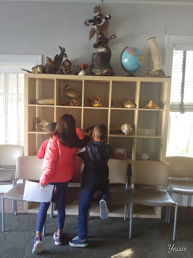 Non-Profit Organization «Nature Discovery Center», reviews and photos, 7112 Newcastle St, Bellaire, TX 77401, USA