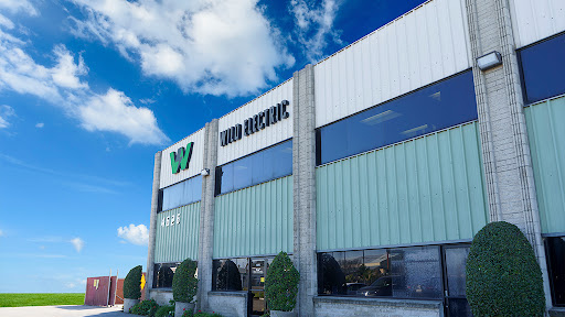 Photo of Wild Electric