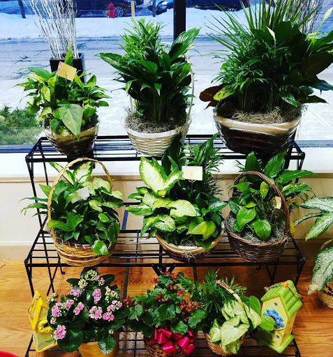 Florist «Happiness is... The Little Flower Shop», reviews and photos, 39277 Grand River Ave, Farmington Hills, MI 48335, USA