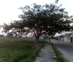 Campo de Béisbol photo