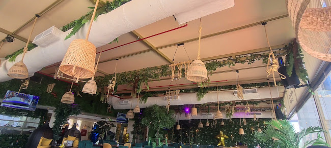 the Monkey's Lounge
