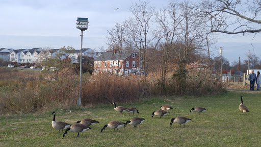 Park «Lemon Creek Park», reviews and photos, Hylan Blvd, Staten Island, NY 10309, USA