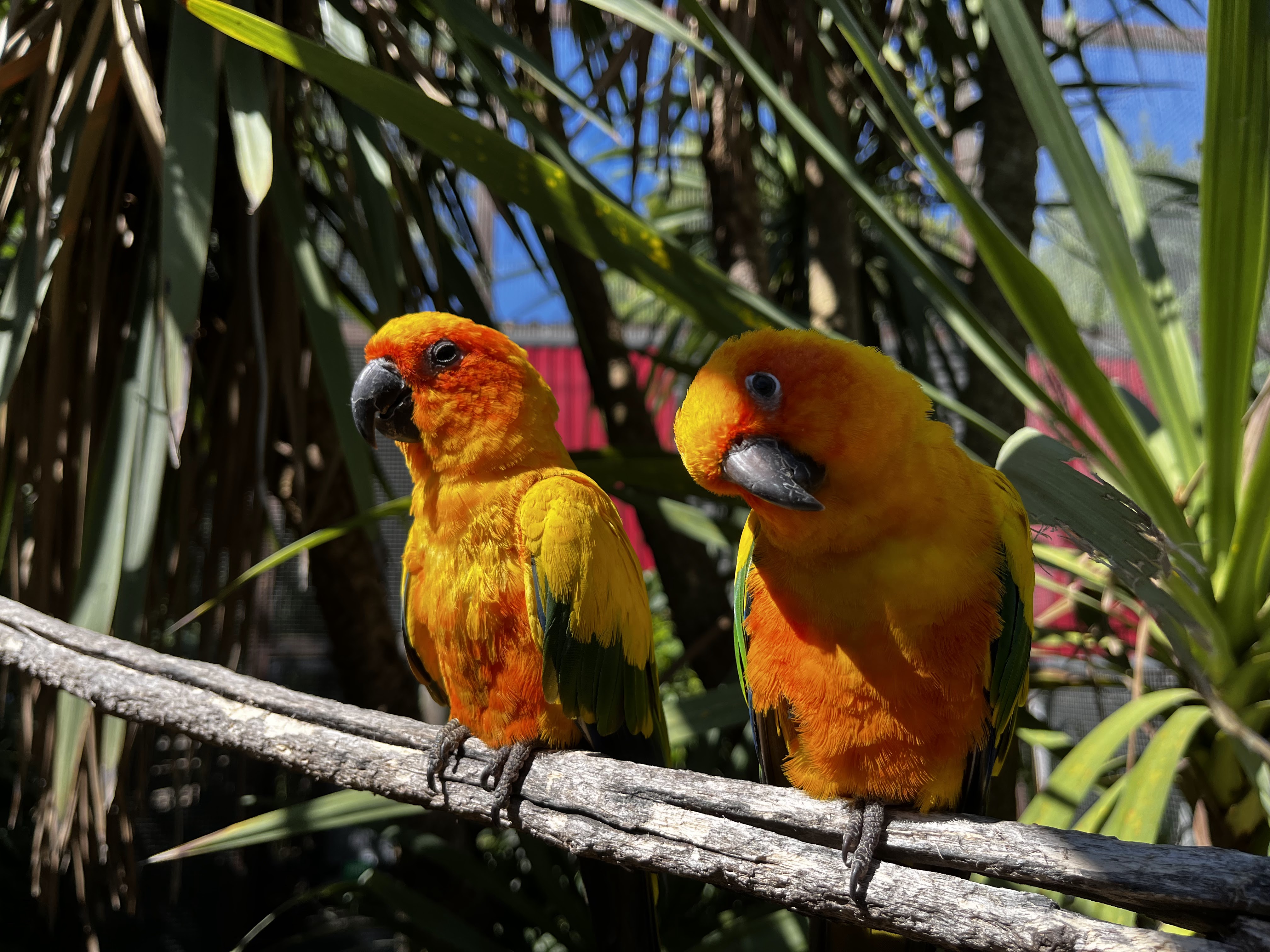 Photo n° 1 de l'avis de Gabriel.e fait le 25/08/2022 à 20:08