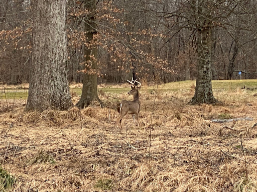 Public Golf Course «Algonkian Golf Course», reviews and photos, 47001 Fairway Dr, Sterling, VA 20165, USA