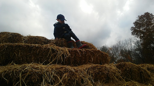 Farm «Langwater Farm», reviews and photos, 209 Washington St, North Easton, MA 02356, USA