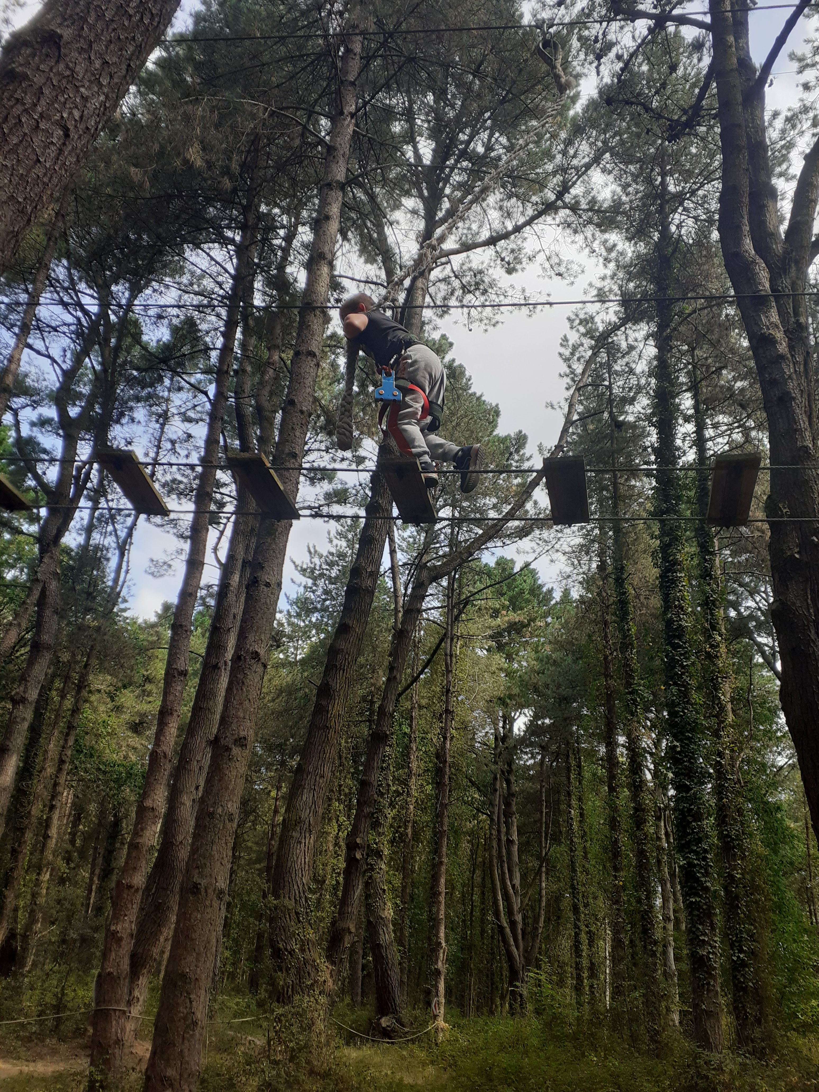 Photo n° 2 de l'avis de FORESTIER.a fait le 02/08/2022 à 11:48