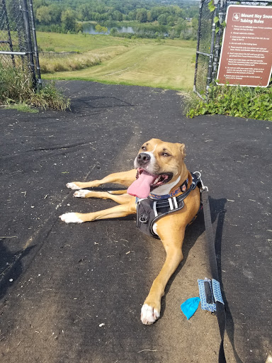 Nature Preserve «Blackwell Forest Preserve», reviews and photos, Butterfield Rd, Warrenville, IL 60555, USA