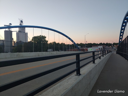 Lazy S Triangle Feed Co.