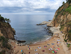 Platja des Codolar photo #6
