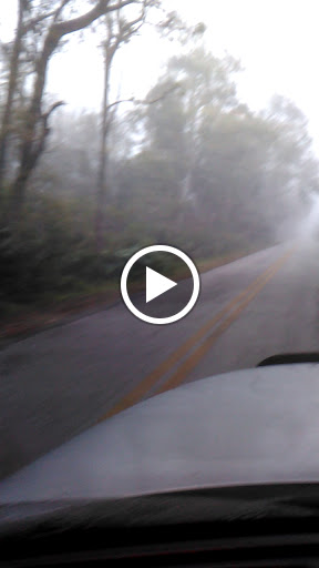 Golf Course «Riviera Country Club», reviews and photos, 500 Calle Grande St, Ormond Beach, FL 32174, USA