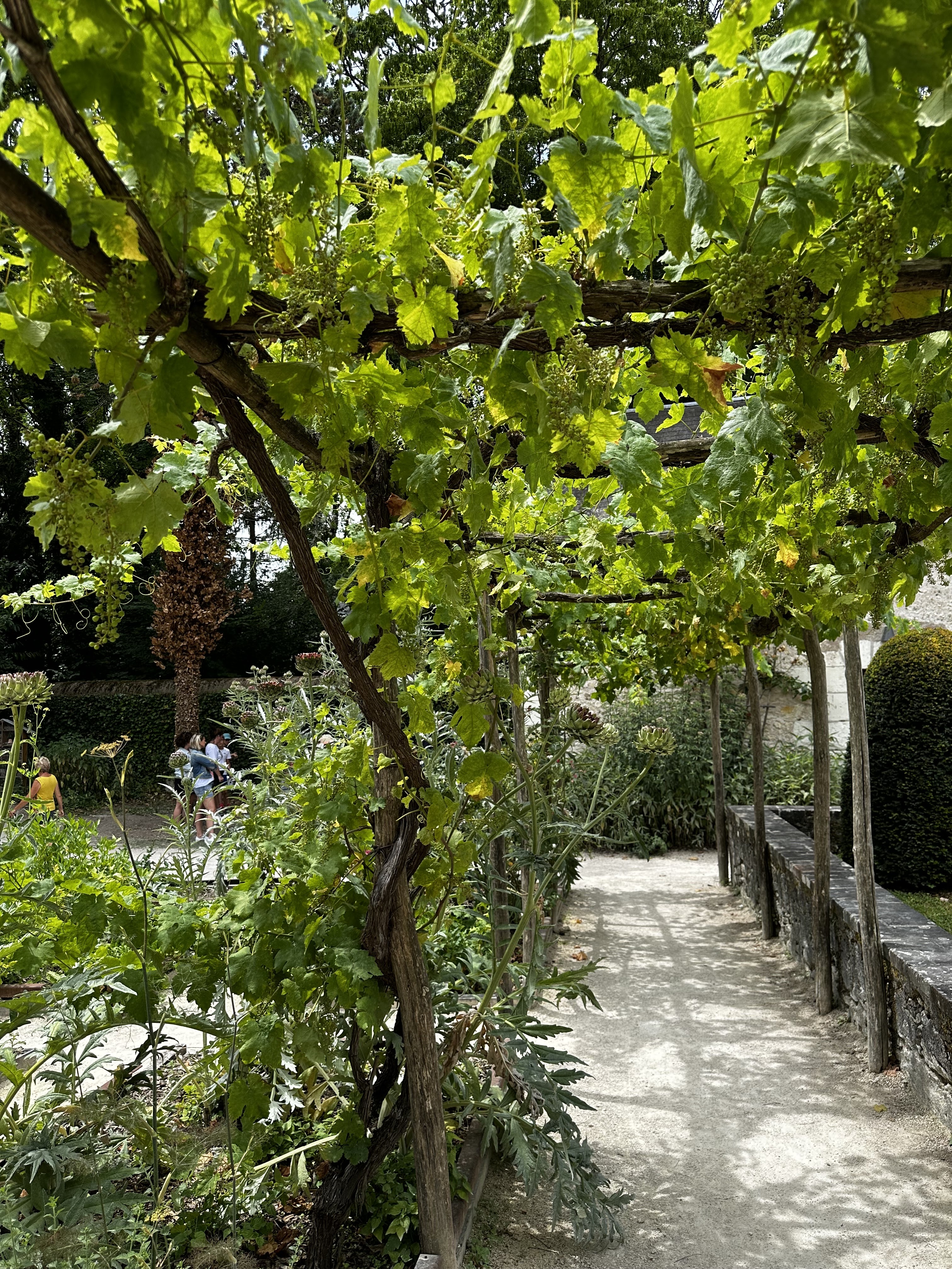 Photo n° 12 de l'avis de Catherine.h fait le 01/07/2023 à 15:17