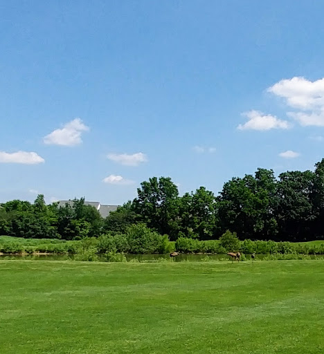 Golf Course «Pierce Lake Golf Course», reviews and photos, 1175 South Main Street, Chelsea, MI 48118, USA