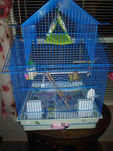 Pet Store «Pet Supermarket, Inc.», reviews and photos, 1938 FL-44 #40, New Smyrna Beach, FL 32168, USA