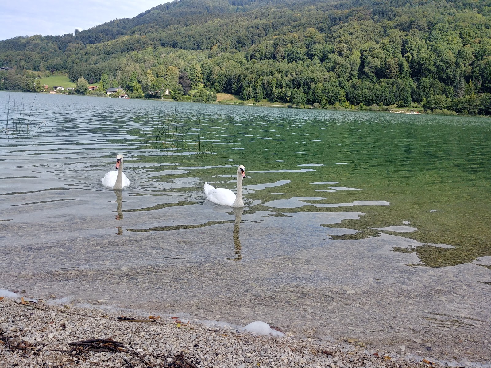 Valokuva Freier Seezugang Oberburgauista. sijaitsee luonnonalueella