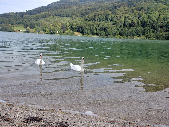 Freier Seezugang Oberburgau