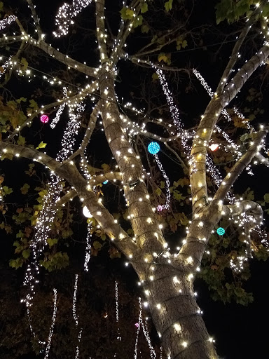 Shopping Mall «Fourth Street Shops», reviews and photos, 1834 Fourth St, Berkeley, CA 94710, USA