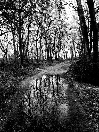 Park «West Hills County Park», reviews and photos, Sweet Hollow Rd, Melville, NY 11747, USA