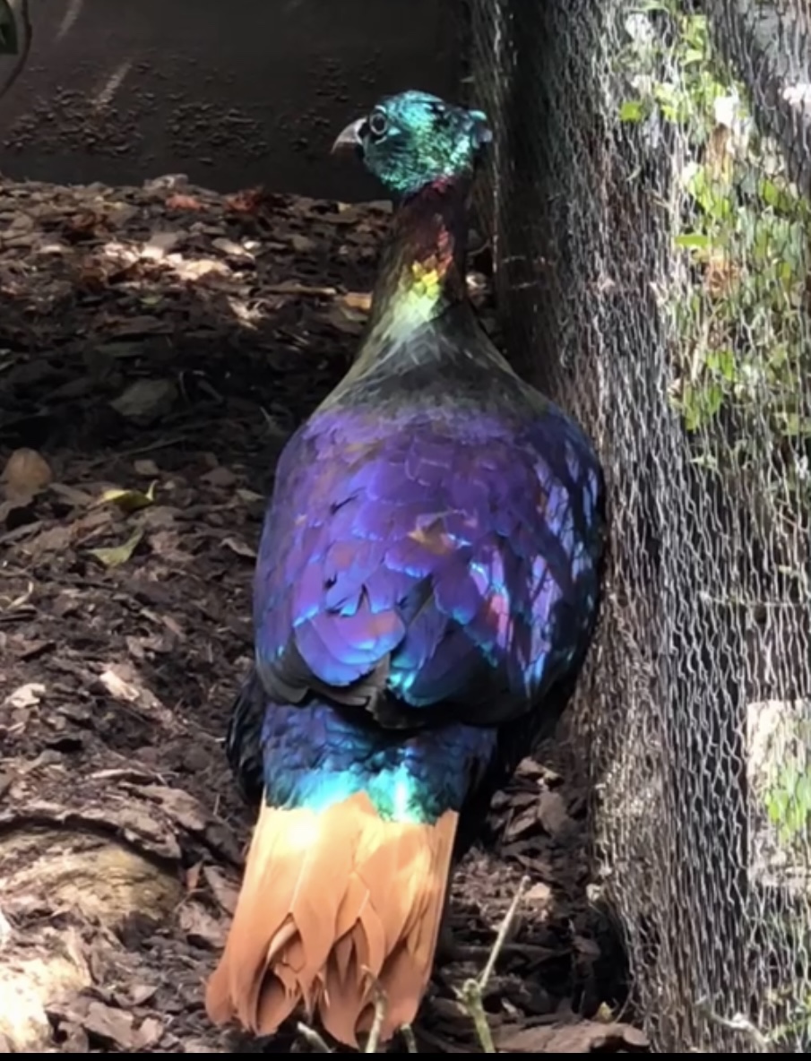 Photo n° 2 de l'avis de Brige. fait le 09/02/2023 à 12:25