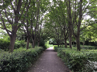 Haggerston Park BMX Track