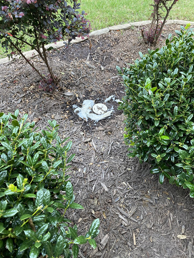 Plumber «Benjamin Franklin Plumbing», reviews and photos, 8916 Crump Rd #2, Charlotte, NC 28273, USA