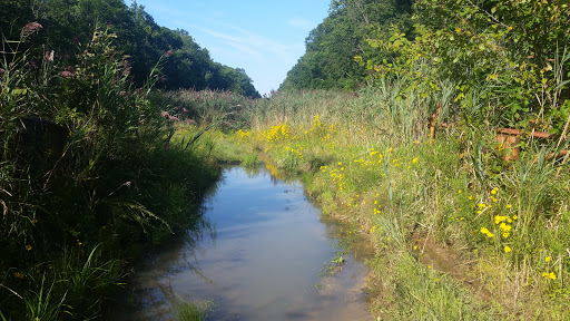 Nature Preserve «Sourland Mountain Preserve», reviews and photos, 421 E Mountain Rd, Hillsborough Township, NJ 08844, USA