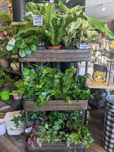 Florist «Garden Fantasy on Main», reviews and photos, 210 Main St, Belleville, MI 48111, USA