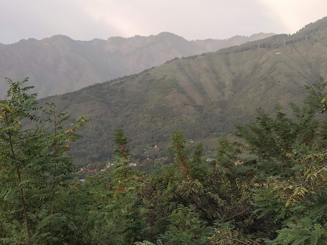 Rehmat Complex