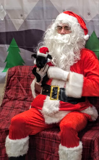 Pet Supply Store «PetSmart», reviews and photos, 157 Levittown Pkwy B, Levittown, PA 19055, USA