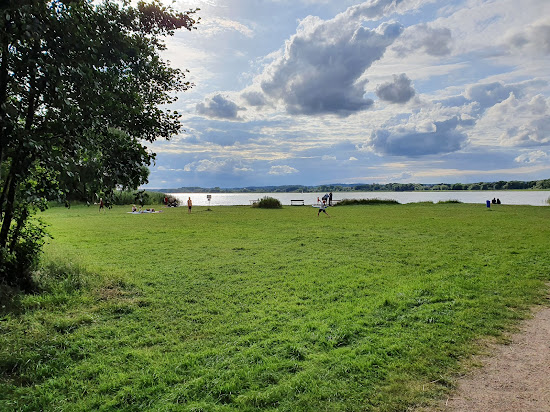 Hundestrand Dahmen