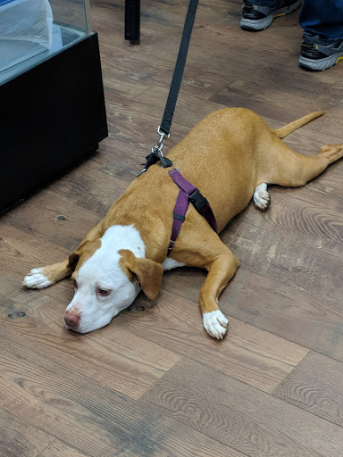 Cigar Shop «Tobacco Leaf», reviews and photos, 2350 NJ-33, Robbinsville, NJ 08691, USA