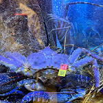 Photo n°2 de l'avis de Hilly. fait le 16/09/2023 à 08:49 sur le  Solar dos Presuntos à Lisbon