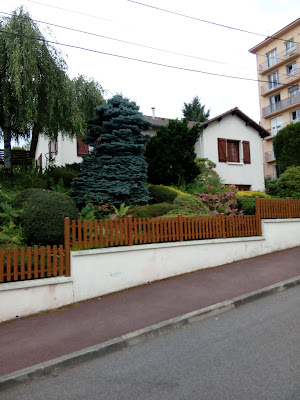 Michael Faye à Limoges