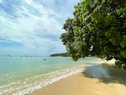Taa Toh Lagoon'in fotoğrafı ve yerleşim