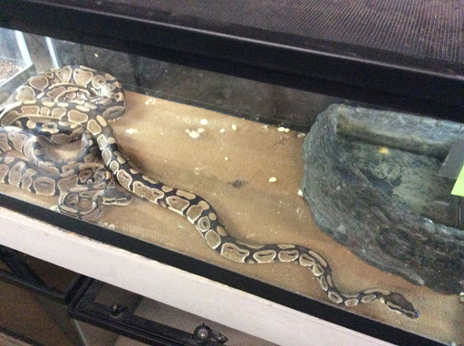 Pet Store «Oasis Tropicals», reviews and photos, 507 Commerce St, Pleasanton, TX 78064, USA