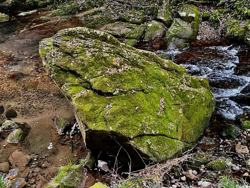 かえる岩（Frog Rock）