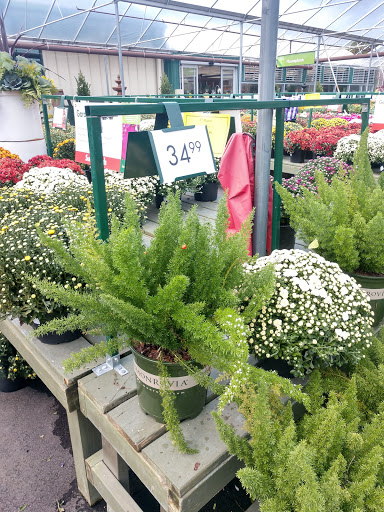 Garden Center «Pike Nurseries», reviews and photos, 615 W Crossville Rd, Roswell, GA 30075, USA