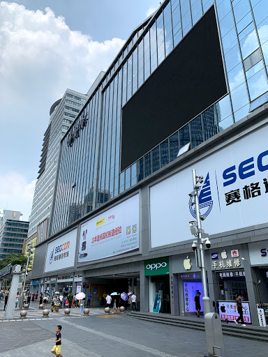 Seg Electronics Market