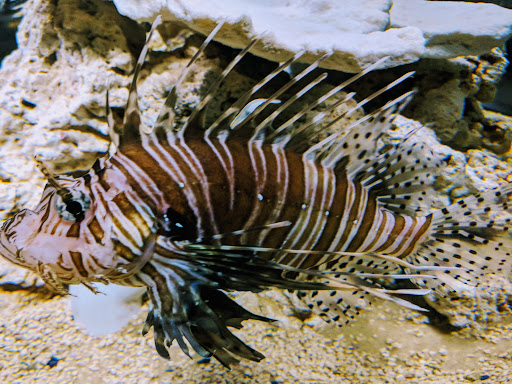 Self-Storage Facility «Life Storage», reviews and photos, 473 J Clyde Morris Blvd, Newport News, VA 23601, USA