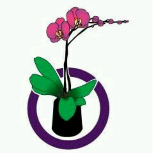 Florist «Ideal Orchids», reviews and photos, 2900 W Sample Rd, Pompano Beach, FL 33073, USA