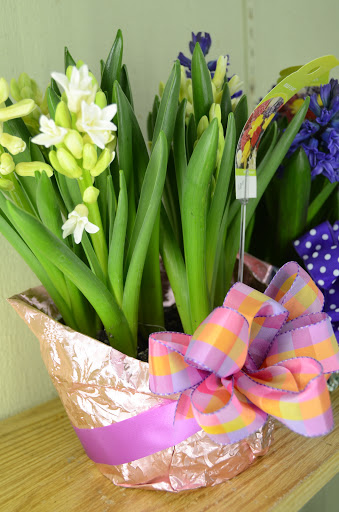 Florist «Homewood Florist», reviews and photos, 18064 Martin Ave, Homewood, IL 60430, USA