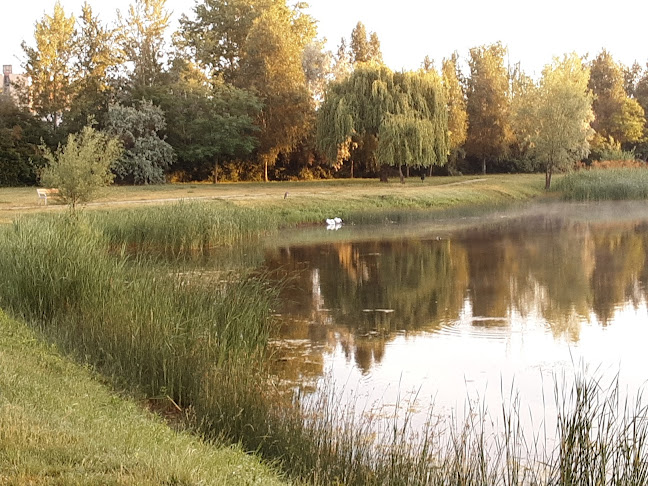 Győr, Erfurti út 21, 9028