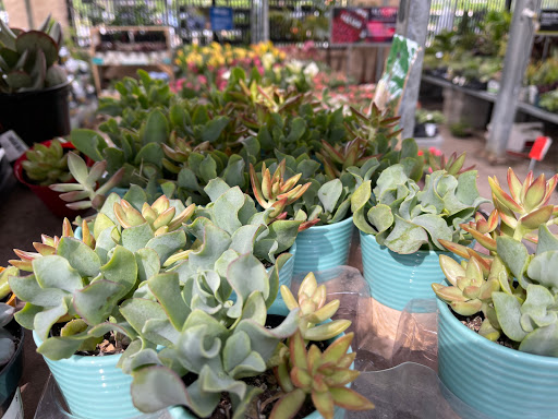 Home Improvement Store «The Home Depot», reviews and photos, 7251 Bell Creek Rd, Mechanicsville, VA 23111, USA