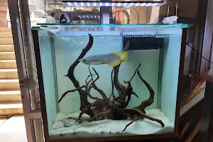 Raj aquarium &fish and pet store image