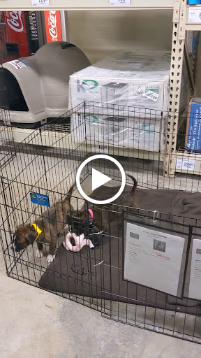 Pet Supply Store «PetSmart», reviews and photos, 4550 W Lake Mary Blvd, Lake Mary, FL 32746, USA