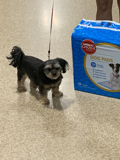 Pet Supply Store «PetSmart», reviews and photos, 5591 TN-153, Hixson, TN 37343, USA