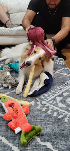 Pet Supply Store «Mud Bay», reviews and photos, 2800 196th St SW, Lynnwood, WA 98036, USA