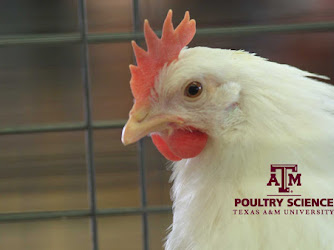 Department of Poultry Science