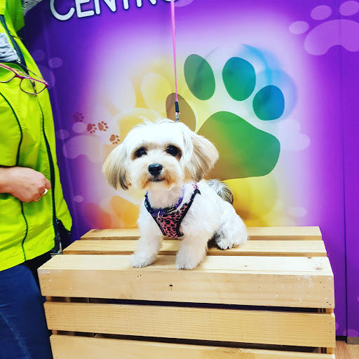 Centro Can NAture - Huesca