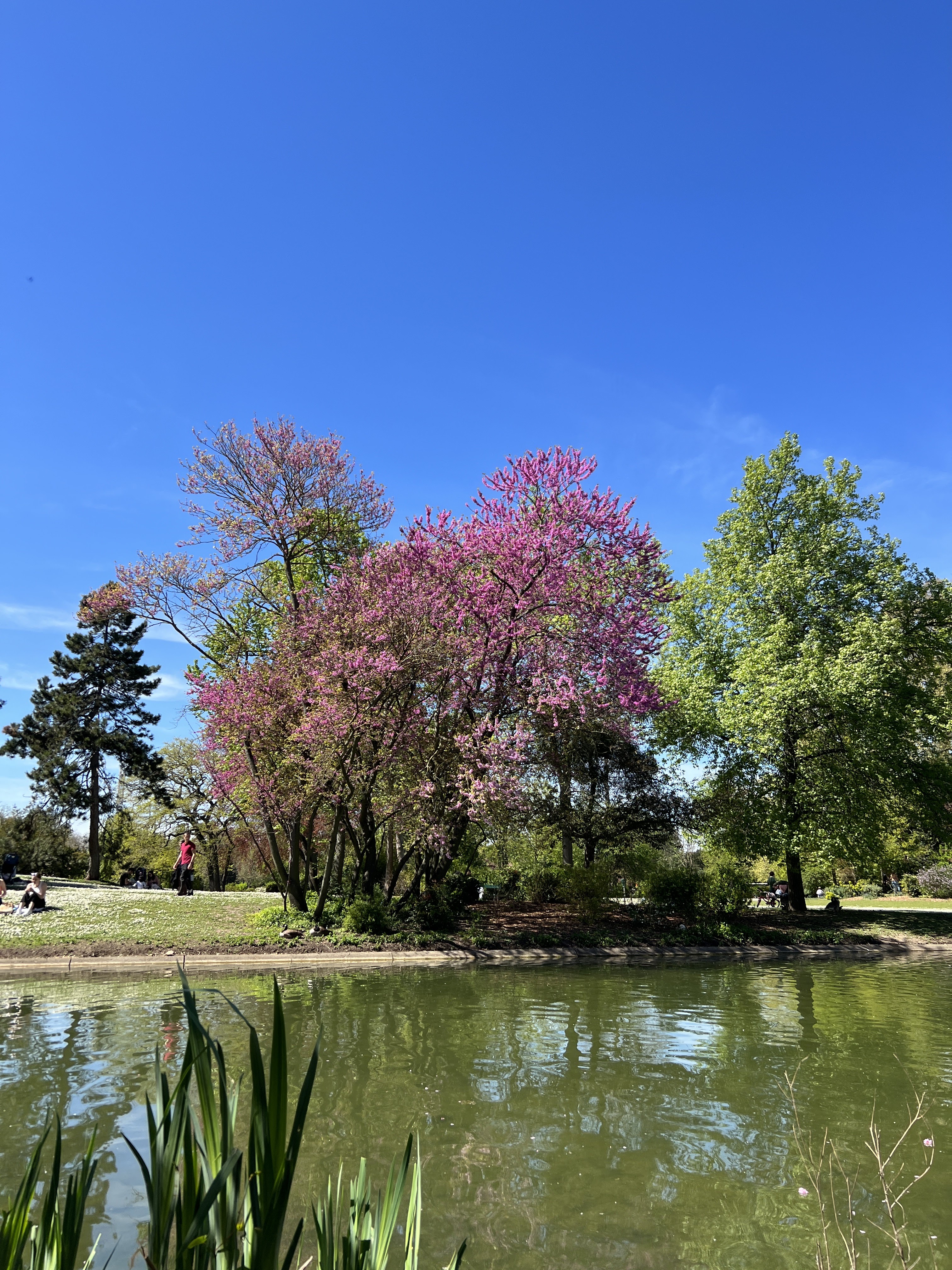 Photo n° 3 de l'avis de Julius. fait le 26/04/2022 à 20:12