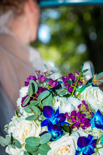 Florist «Chippewa Valley Floral», reviews and photos, 507 S Barstow St, Eau Claire, WI 54701, USA